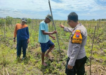 Bhabinkamtibmas Desa Wonoplintahan Laksanakan Pengecekan Lahan P2B