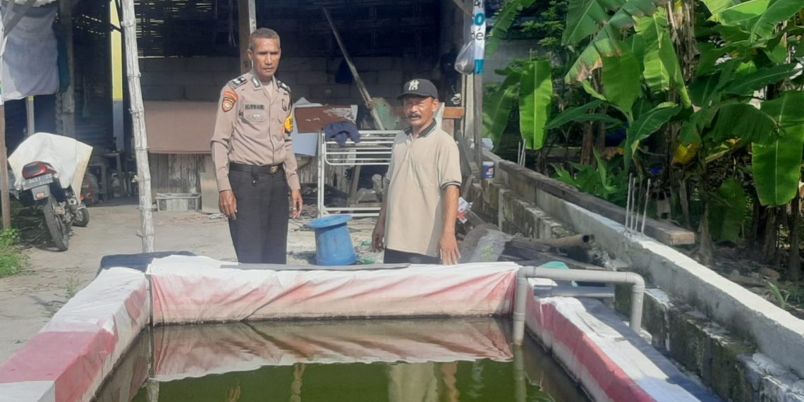 Bhabinkamtibmas Desa Pagerngumbuk Wonoayu Cek Budidaya Ikan Nila
