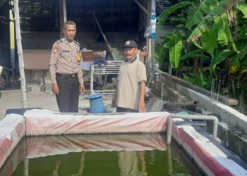 Bhabinkamtibmas Desa Pagerngumbuk Wonoayu Cek Budidaya Ikan Nila
