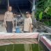 Bhabinkamtibmas Desa Pagerngumbuk Wonoayu Cek Budidaya Ikan Nila