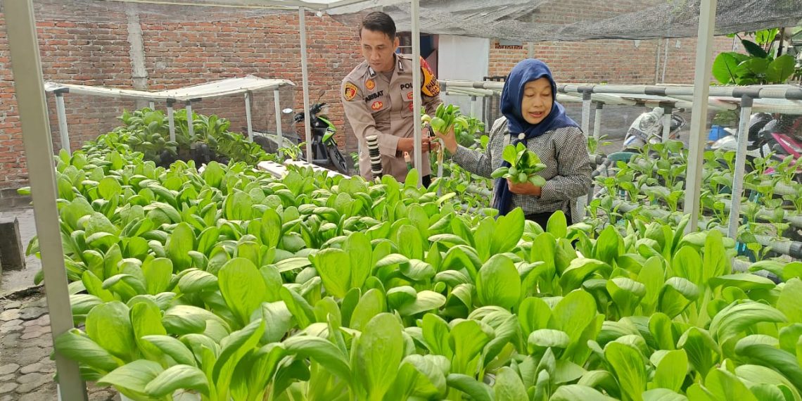 Bhabinkamtibmas Bungurasih Ajak Warga Manfaatkan Lahan Tidur untuk Tanam Sayuran