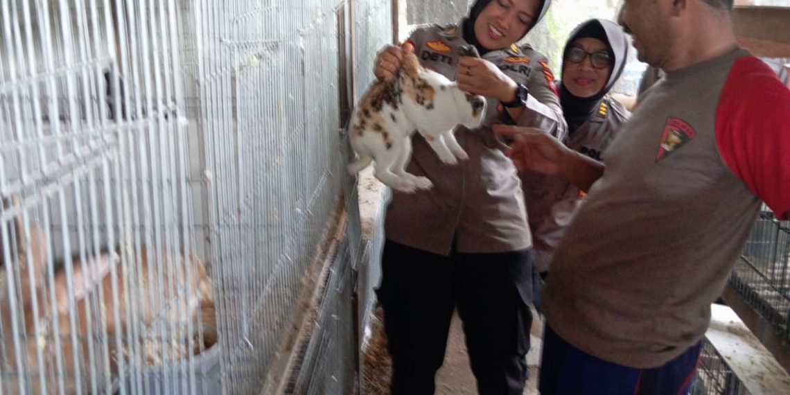 Dukung Ketahanan Pangan, Polisi di Sidoarjo Budidaya Ikan dan Kelinci