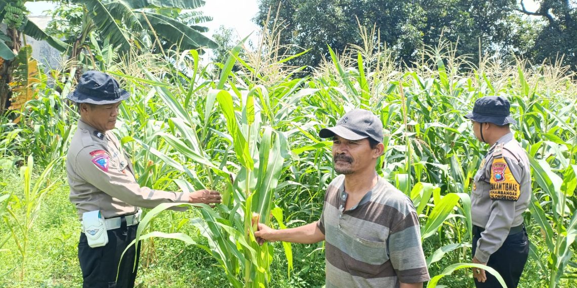 Kapolsek Balongbendo Berikan Pendampingan untuk Swasembada Pangan Mandiri