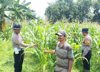 Kapolsek Balongbendo Berikan Pendampingan untuk Swasembada Pangan Mandiri