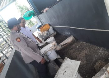 Warga Desa Sidomojo Wujudkan Swasembada Pangan lewat Budidaya Magot