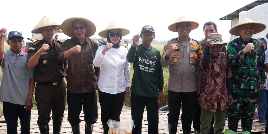 Wabup Sidoarjo Hj Mimik﻿ Idayana﻿ Ikuti Panen Raya Padi Serentak bersama Presiden Prabowo di Desa Kemuning, Tarik