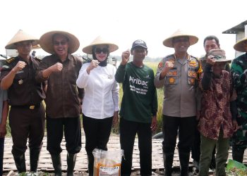 Wabup Sidoarjo Hj Mimik﻿ Idayana﻿ Ikuti Panen Raya Padi Serentak bersama Presiden Prabowo di Desa Kemuning, Tarik