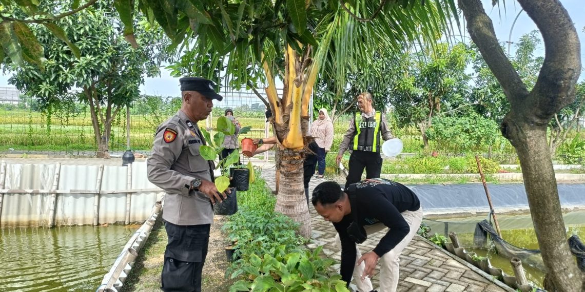 Kapolsek Krian dan Warga Gotong Royong Siapkan Pekarangan Pangan Bergizi di Lahan Bumdes Kraton