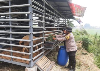 Bhabinkamtibmas Sidomojo Ajak Warga Maksimalkan Perawatan Ternak Kambing