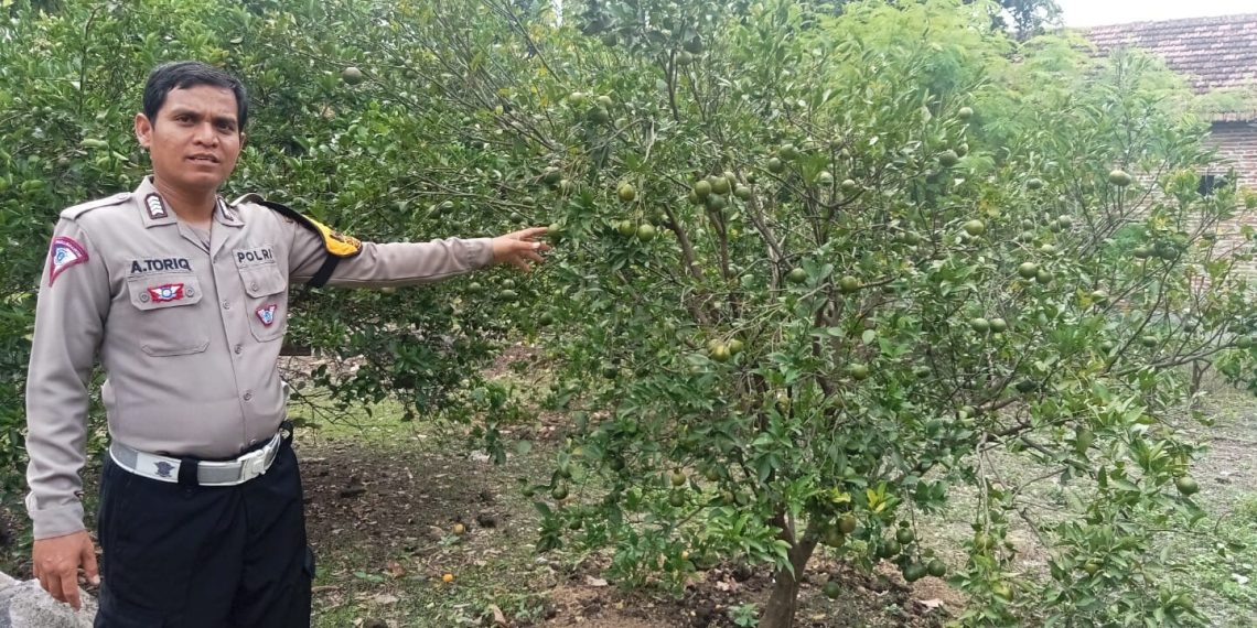 Polsek Gedangan Cek Pekarangan Pangan Bergizi