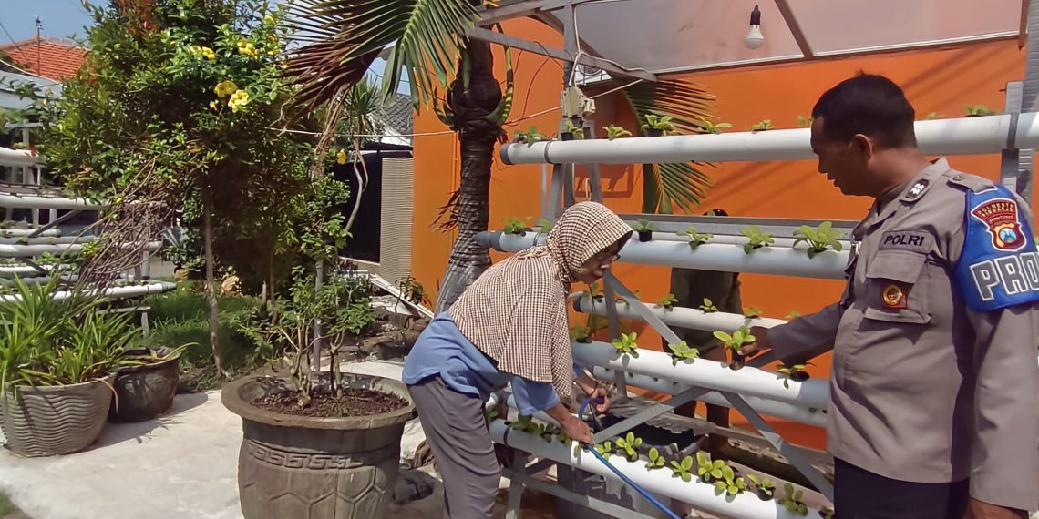 Bhabinkamtibmas Desa Sumorame Bersinergi dengan Ketua Bumdes Giatkan Tanaman Sawi Hidroponik