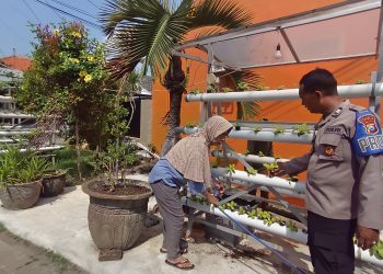 Bhabinkamtibmas Desa Sumorame Bersinergi dengan Ketua Bumdes Giatkan Tanaman Sawi Hidroponik