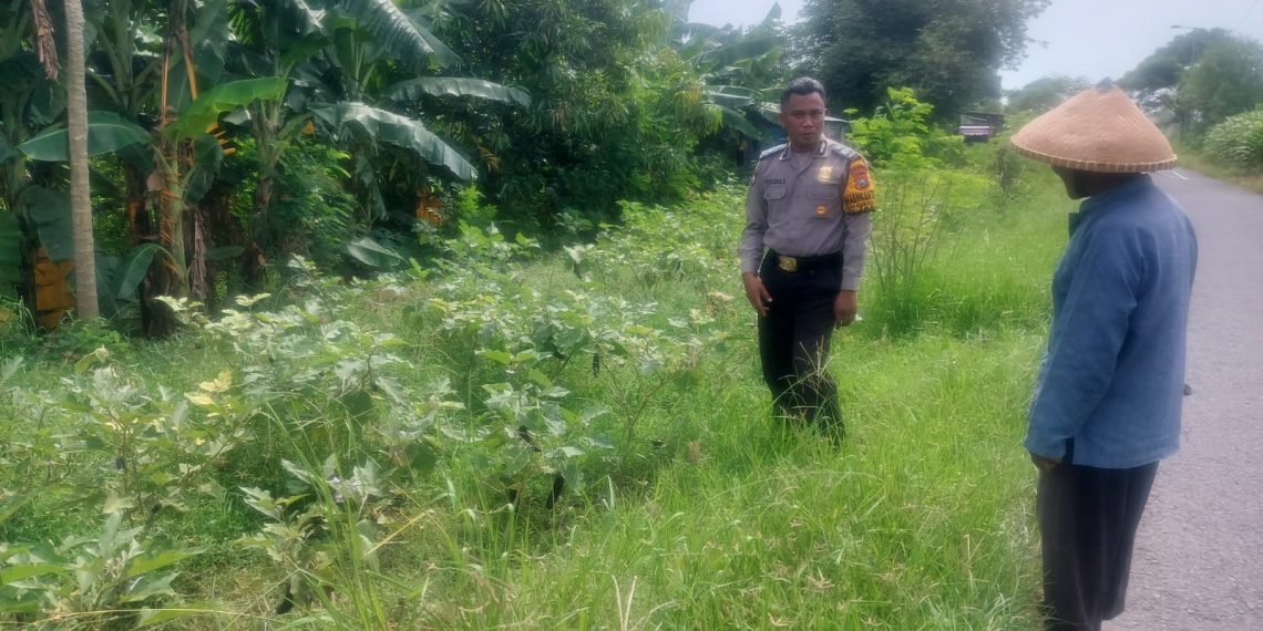 Bhabinkamtibmas Dampingi Warga Wujudkan Swasembada Pangan