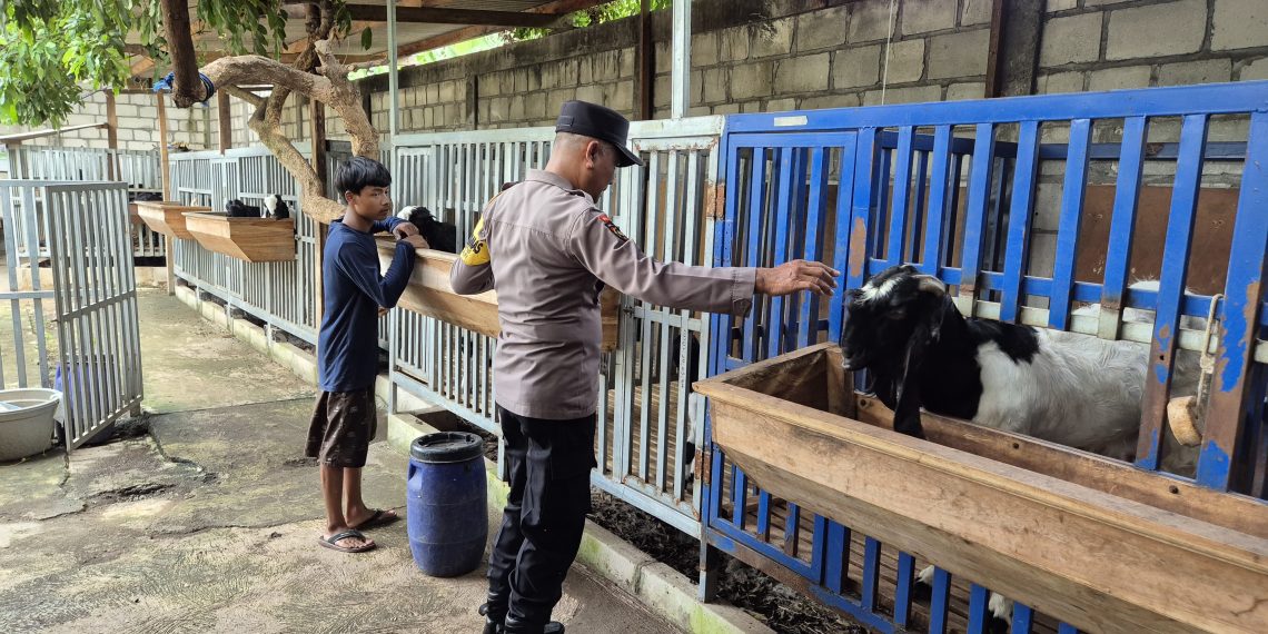 Bhabinkamtibmas Tinjau Ternak Kambing di Pertapanmaduretno