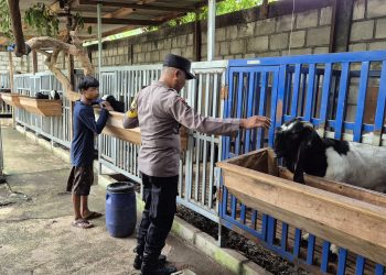 Bhabinkamtibmas Tinjau Ternak Kambing di Pertapanmaduretno