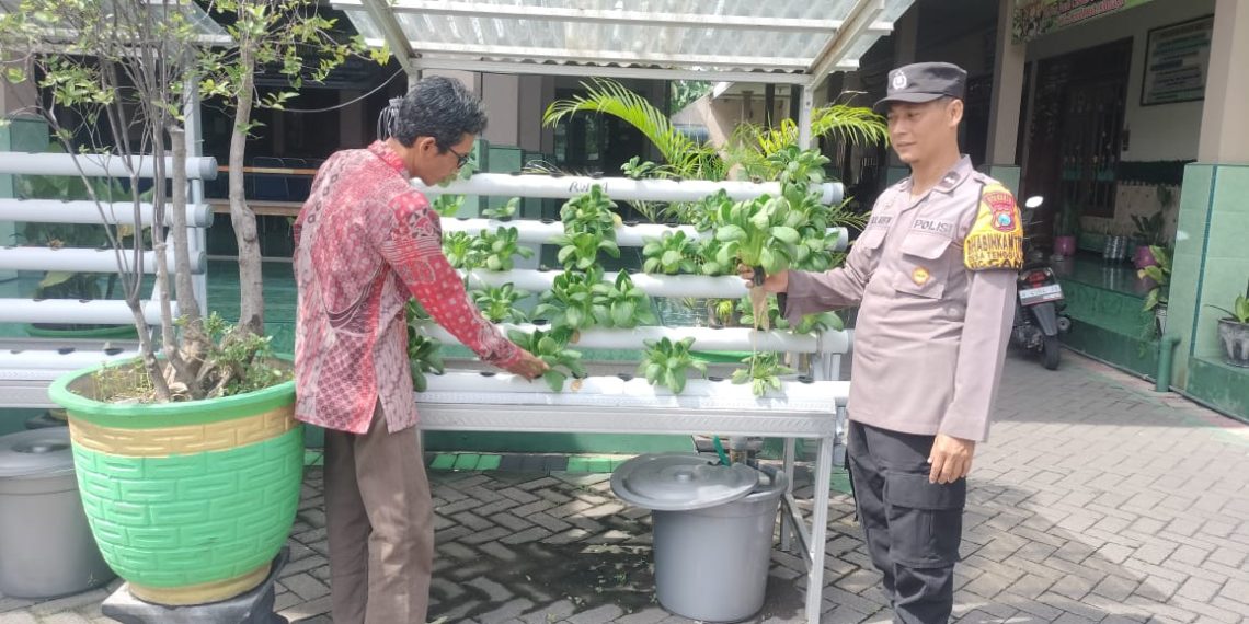 Bhabinkamtibmas Desa Tenggulunan Berikan Penyuluhan Hidroponik