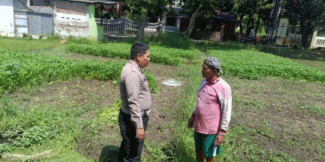 Polsek Sukodono Dukung Upaya Warga Gelorakan Ketahanan Pangan Sayur Kangkung