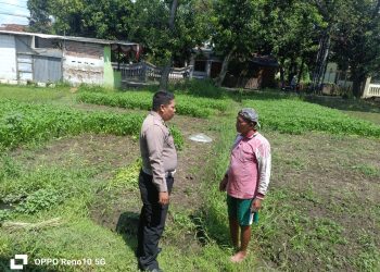 Polsek Sukodono Dukung Upaya Warga Gelorakan Ketahanan Pangan Sayur Kangkung