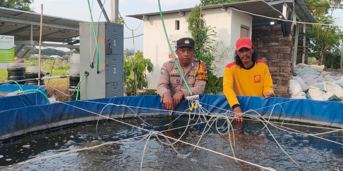 Polisi dan Petani di Sedati Wujudkan Ketahanan Pangan Lewat Budidaya Ikan Lele