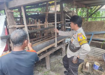 Sinergi Kepolisian dan Warga Kembangkan Program Ketahanan Pangan di Tanggulangin