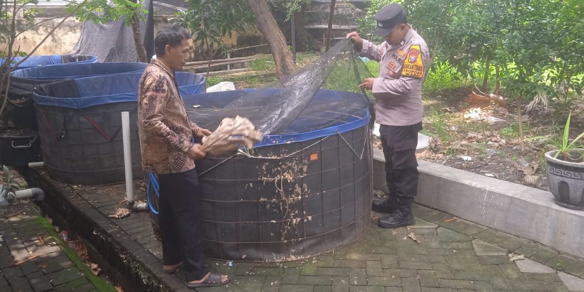 Bhabinkamtibmas Desa Wedoro Dorong Ketahanan Pangan Lewat Penyuluhan Budidaya Ikan Patin