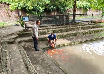 Bhabinkamtibmas Polsek Prambon Tinjau Budidaya Ikan Nila