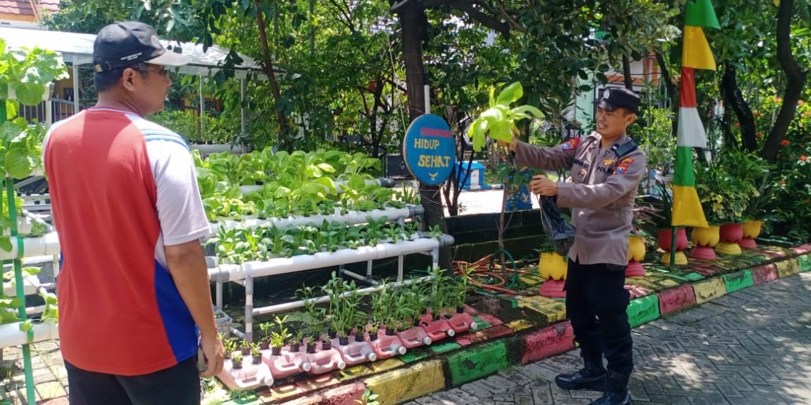 Polisi Motivasi Warga MCG Antusias Kembangkan Sayuran Hidroponik