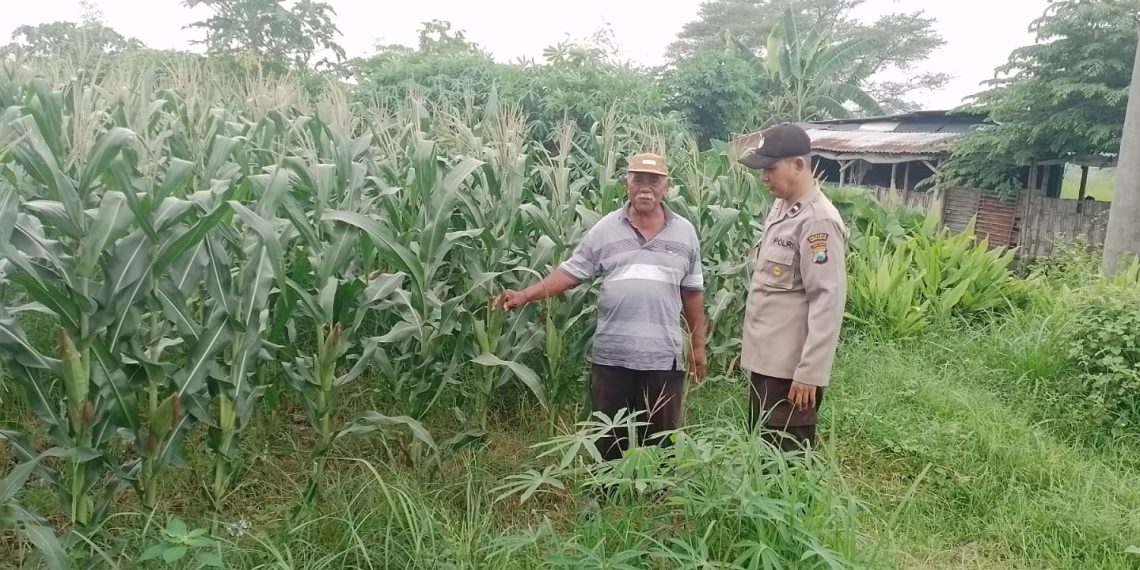 Polsek Tarik Masifkan Patroli Sambang Desa