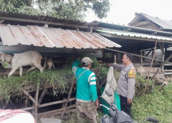 Bhabinkamtibmas Sukodono Patroli Ketahanan Pangan Nasional di Pedesaan