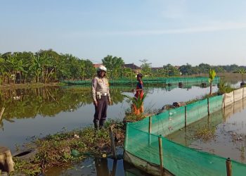 Polisi Turun Langsung ke Lahan Tambak Ikan di Kalidawir