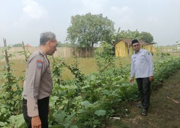 SDN Kedung Sugo I Manfaatkan Lahan Kosong untuk Ketahanan Pangan