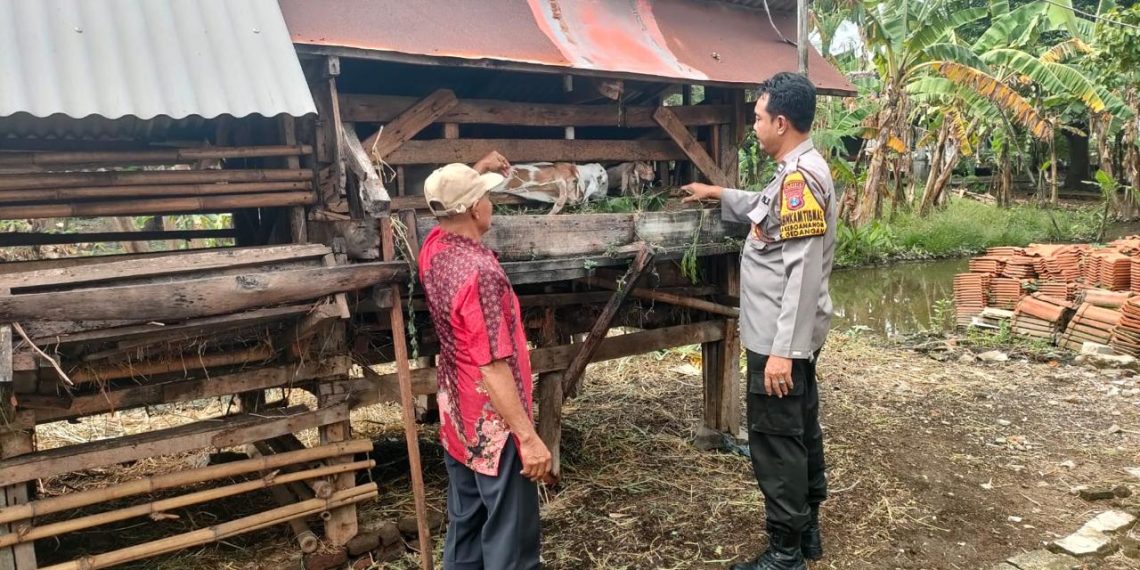 Kapolsek Gedangan Masifkan Kegiatan Sambang Desa, Tinjau Ketahanan Pangan Peternakan Warga Keboan Anom
