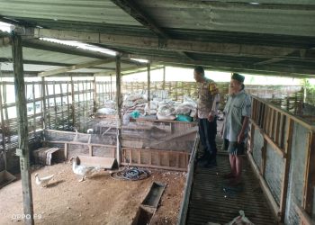 Bhabinkamtibmas Kenongo Cek Lahan Ketahanan Pangan Peternakan Unggas