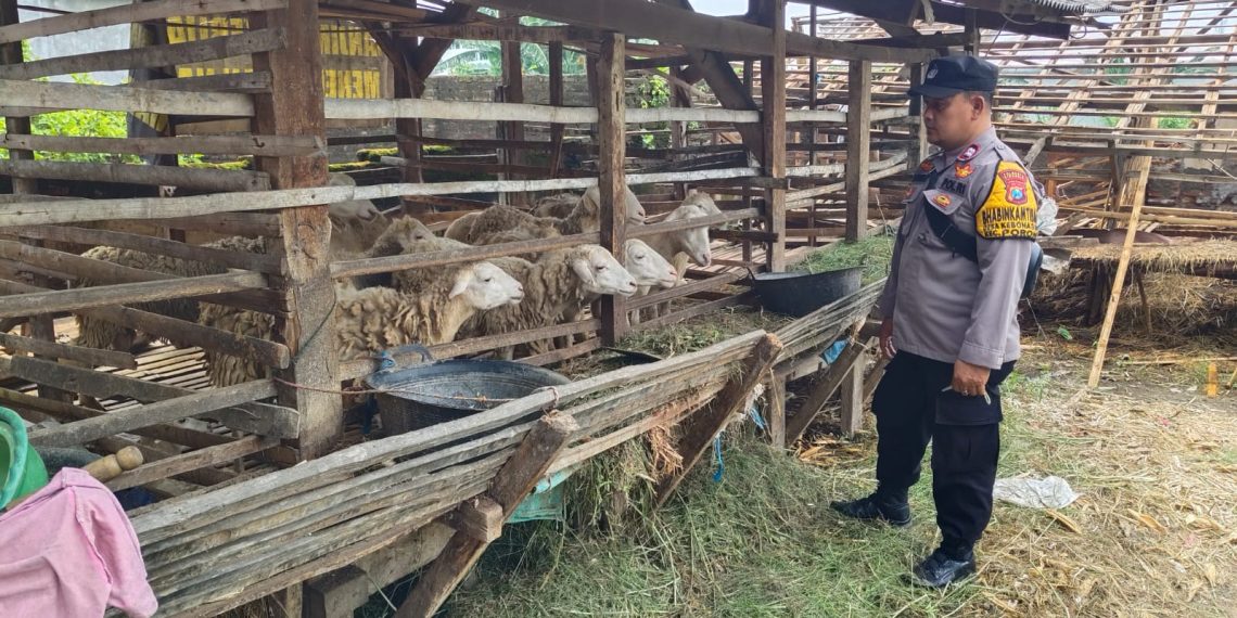 Polsek Porong Tinjau Lahan Ketahanan Pangan di Desa Kebonagung