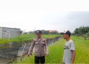 Warga Desa Trosobo Siap Panen Lele
