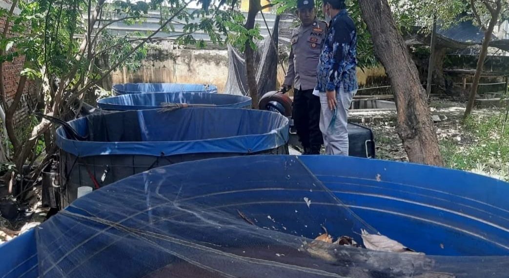 Bhabinkamtibmas Wedoro Dukung Ketahanan Pangan Lewat Budidaya Ikan Patin