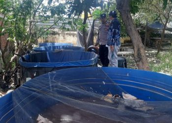 Bhabinkamtibmas Wedoro Dukung Ketahanan Pangan Lewat Budidaya Ikan Patin