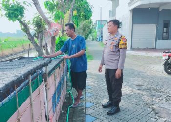 Polsek Sukodono Dukung Program Budidaya Lele di Masangankulon