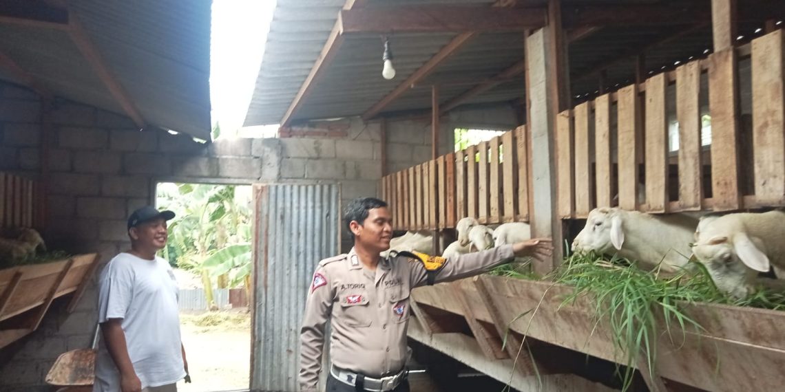 Polsek Gedangan Apresiasi Inisiatif Warga Manfaatkan Lahan Kosong untuk Peternakan Kambing