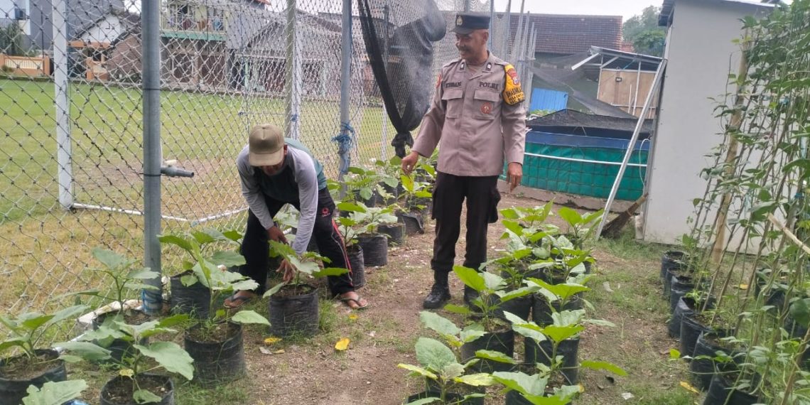 Bhabinkamtibmas Desa Entalsewu Dukung Program Ketahanan Pangan Lewat Pendampingan Warga