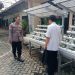 Pemdes Larangan Dukung Ketahanan Pangan Lewat Pemanfaatan Lahan Kosong untuk Hidroponik