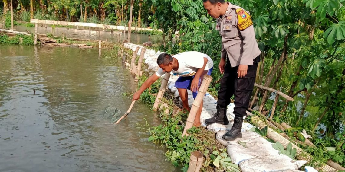Warga Permata Candiloka Manfaatkan Lahan Kosong untuk Budidaya Ikan Mujair