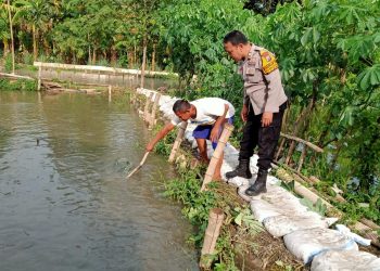 Warga Permata Candiloka Manfaatkan Lahan Kosong untuk Budidaya Ikan Mujair