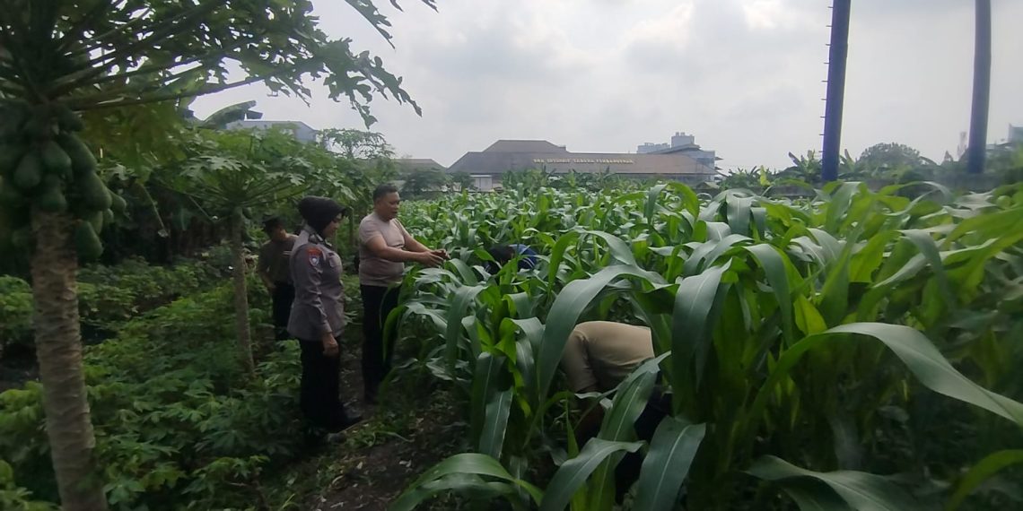 Anggota Polsek Waru Ajak Warga Rawat Tanaman untuk Swasembada Pangan