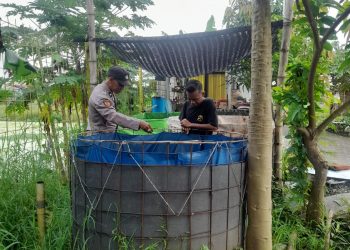 Warga Desa Trosobo Manfaatkan Lahan Kosong untuk Kolam Bioflok Pembesaran Lele