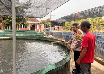 Polsek Krembung Dorong Ketahanan Pangan Lewat Sektor Perikanan