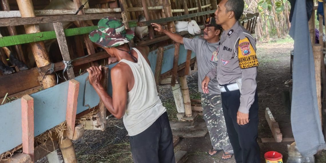 Bhabinkamtibmas Ngobrol Ketahanan Pangan Bareng Peternak Kambing Sidokerto