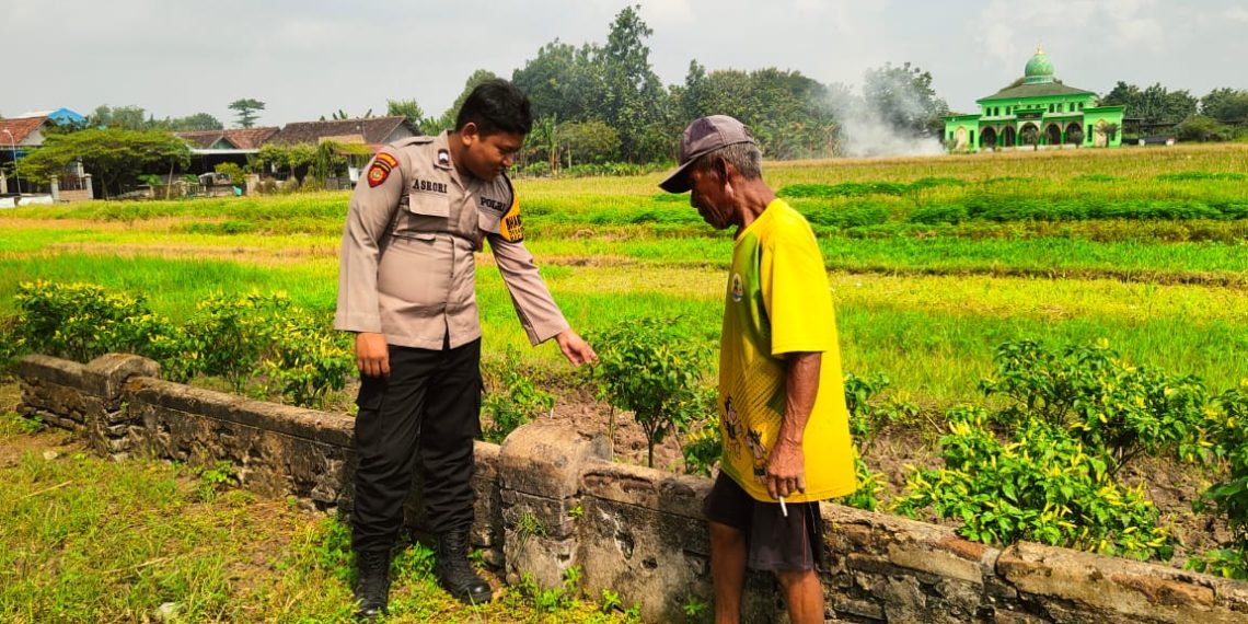 Anggota Polsek Krembung Tinjau Kesuburan Lahan Pertanian Dukung Program Ketahanan Pangan Nasional