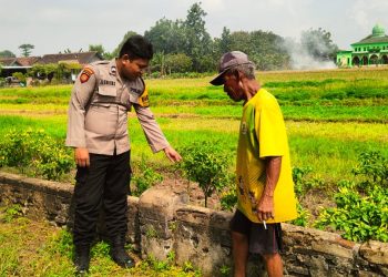 Anggota Polsek Krembung Tinjau Kesuburan Lahan Pertanian Dukung Program Ketahanan Pangan Nasional