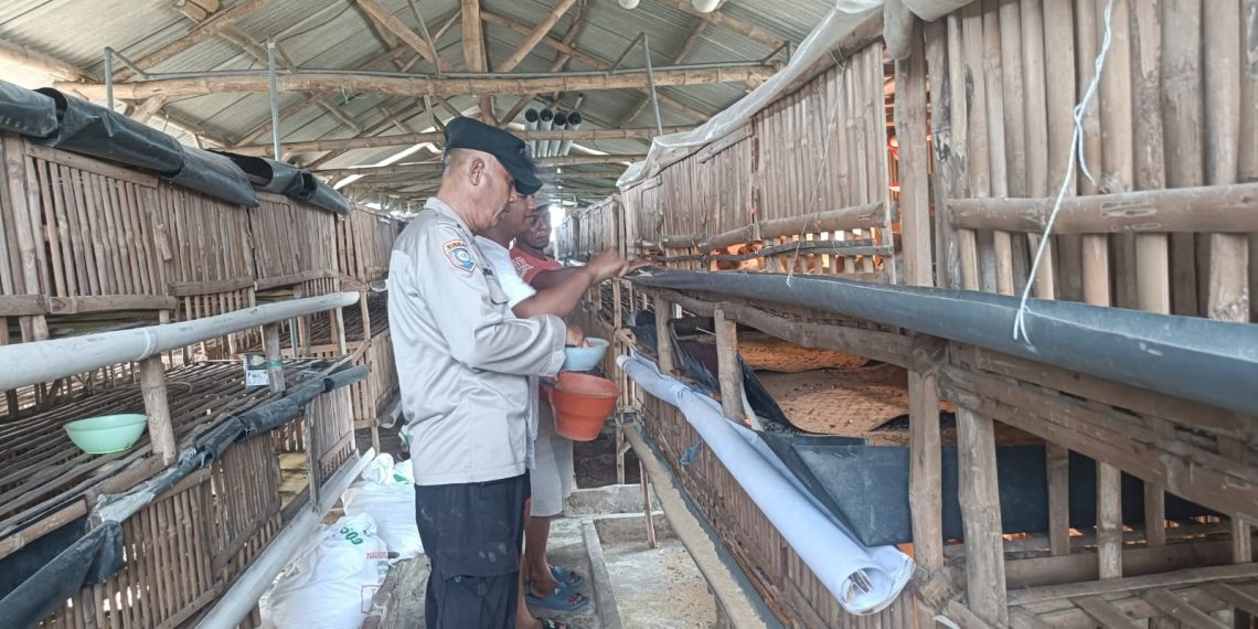 Peternakan Ayam Bumdes Kraton Diharapkan Dukung Ketahanan Pangan Polresta Sidoarjo